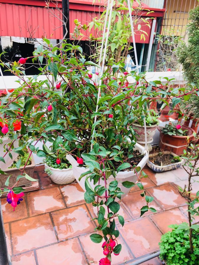 Lee'S Family Homestay Hanoi Exterior photo